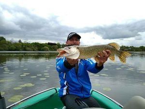 Northern Pike