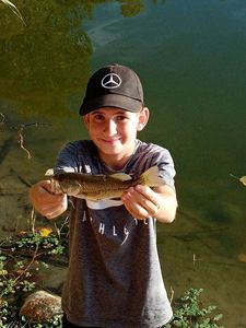 Largemouth Bass
