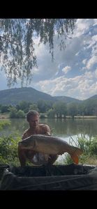 Mirror Carp