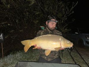 Mirror Carp