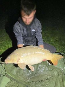 Mirror Carp