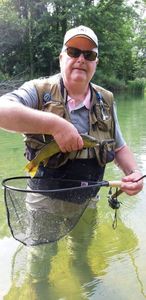 Brown Trout