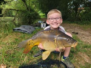 Mirror Carp