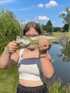 Largemouth Bass