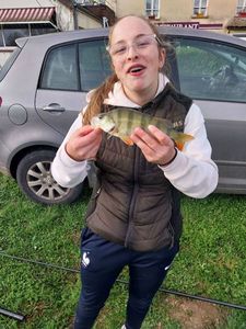 European Perch