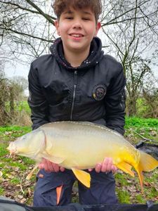 Mirror Carp