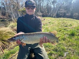 Northern Pike