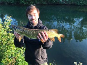 Northern Pike