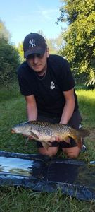 Common Carp