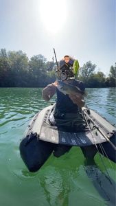 Largemouth Bass