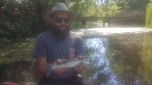 Zander