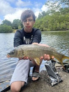 Common Carp