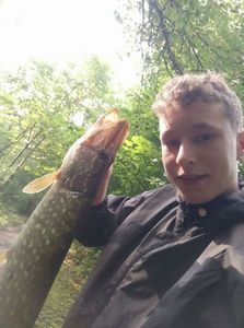 Northern Pike