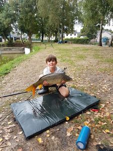 Common Carp