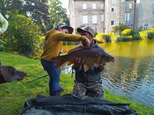 Mirror Carp