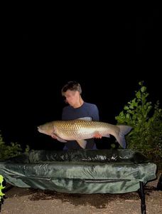 Grass Carp