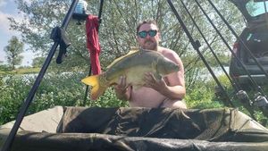 Mirror Carp