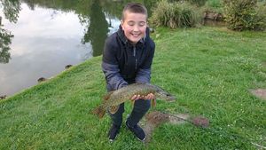 Northern Pike