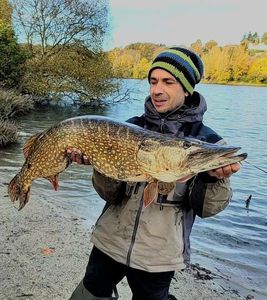 Northern Pike