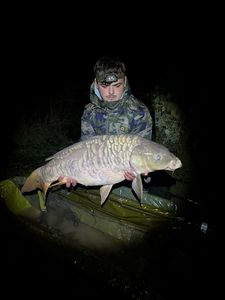 Mirror Carp