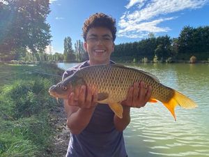 Common Carp