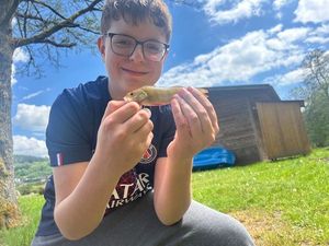 European Perch
