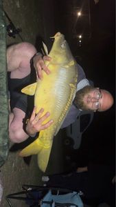 Mirror Carp