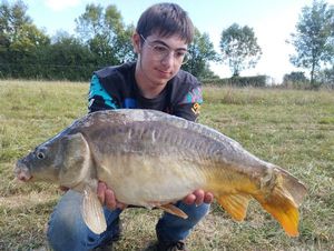 Mirror Carp
