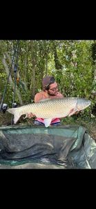 Grass Carp