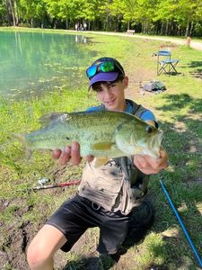 Smallmouth Bass
