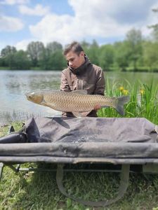 Grass Carp