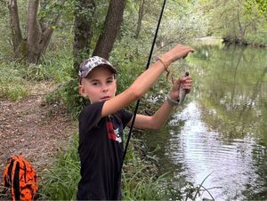 Rainbow Trout