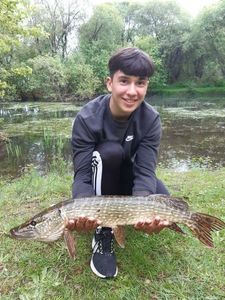 Northern Pike