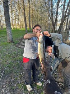 Northern Pike