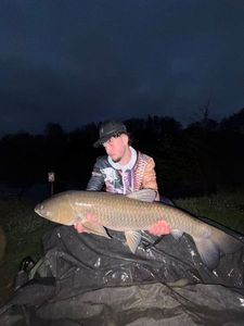 Grass Carp