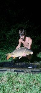 Mirror Carp