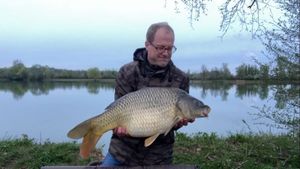 Common Carp