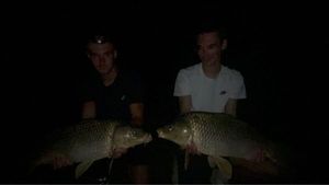 Common Carp