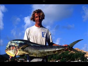 Dolphinfish