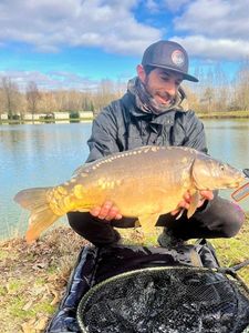 Mirror Carp