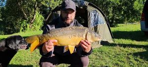 Mirror Carp