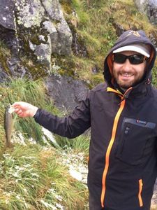 Brown Trout