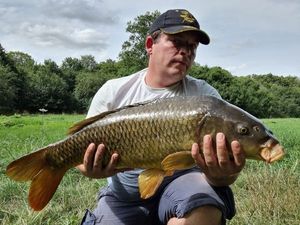 Common Carp