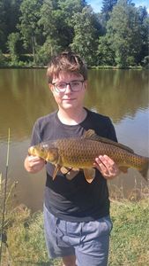 Common Carp