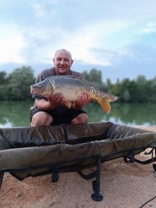 Mirror Carp