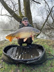 Mirror Carp
