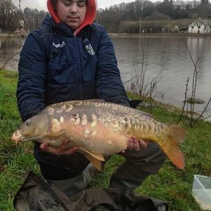 Leather Carp