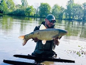 Grass Carp