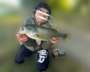 Largemouth Bass