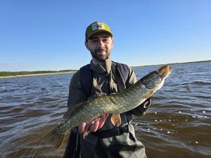 Northern Pike